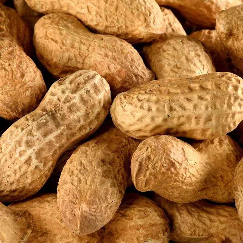 Cacahuètes coques bio en vrac