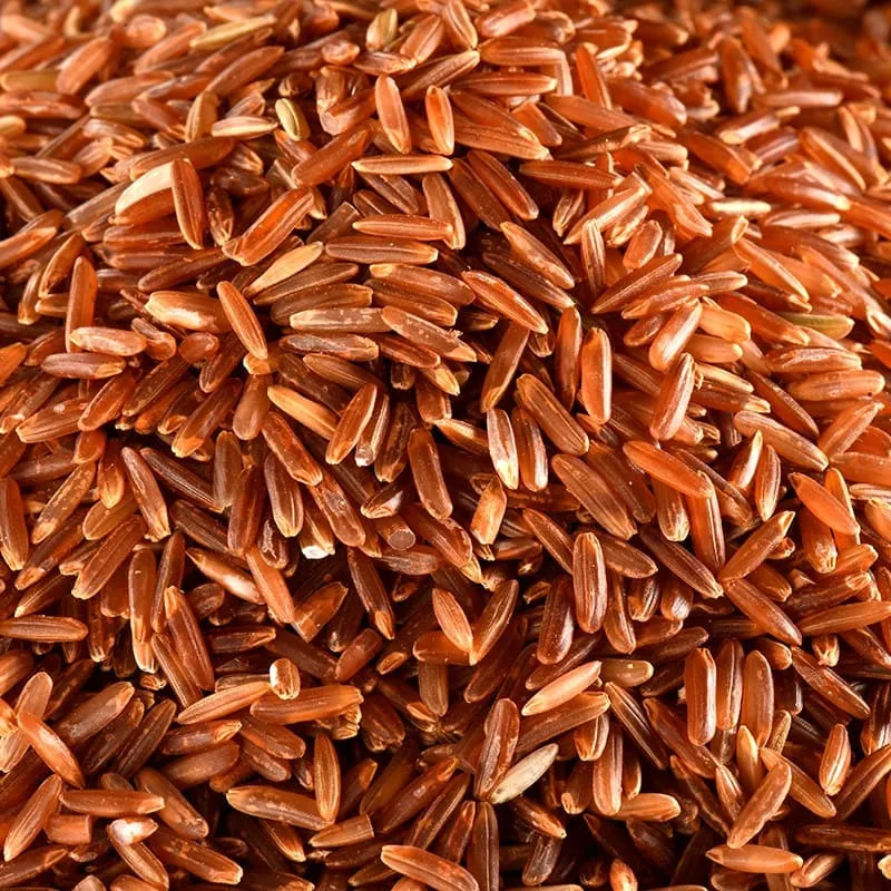 Riz rouge bio en vrac