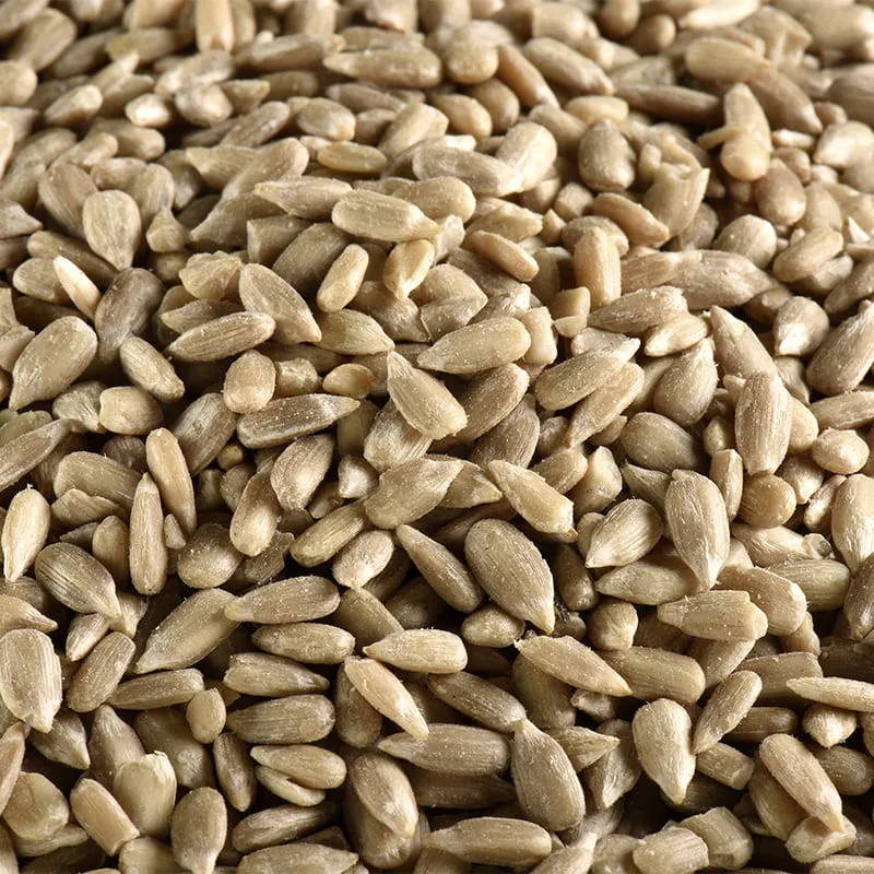Graines de tournesol bio en vrac