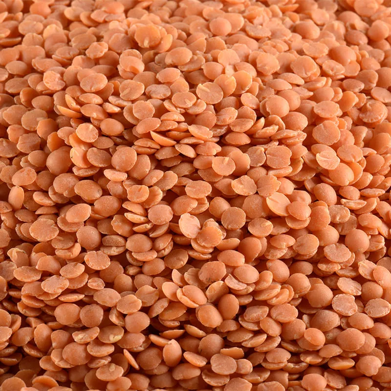 Lentilles corail bio en vrac
