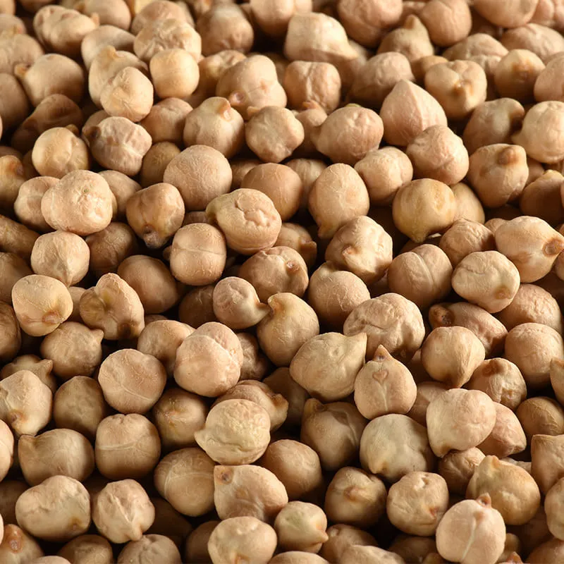 Pois chiches bio en vrac