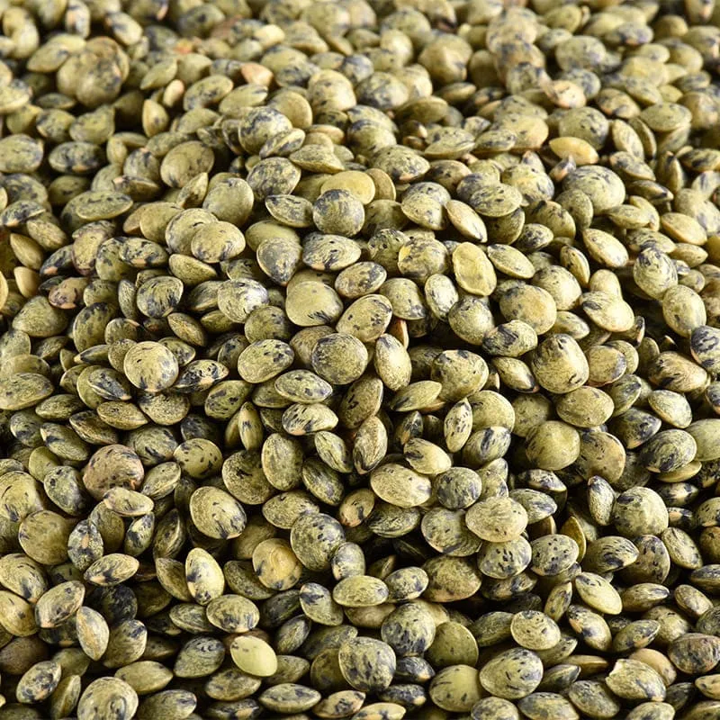 Lentilles vertes bio en vrac