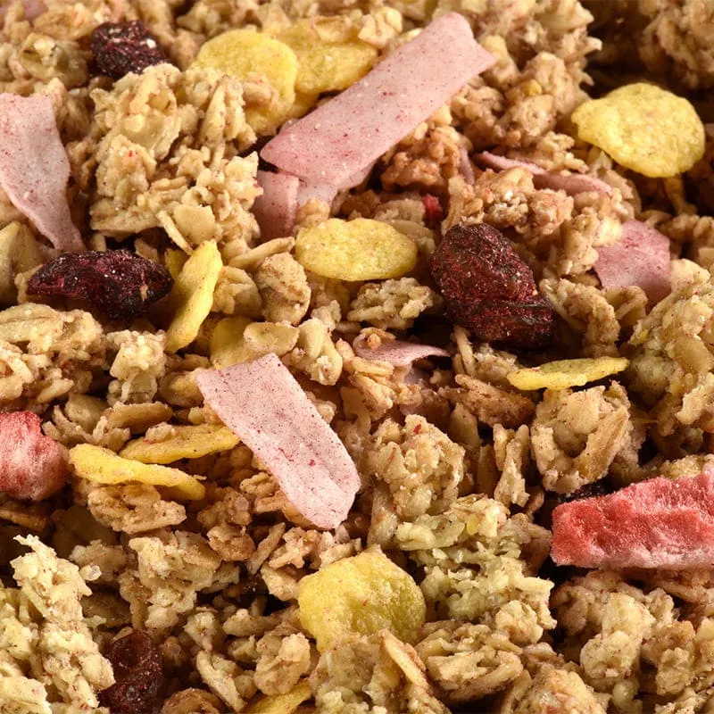Muesli croustillant fruits et noix de coco bio
