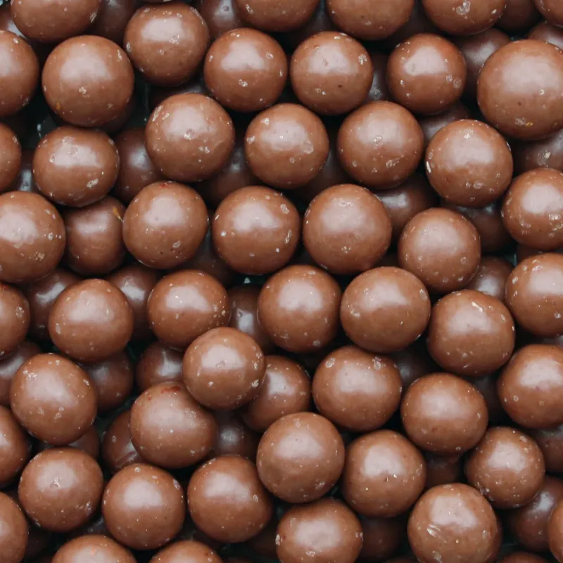 Noisettes enrobées au chocolat au lait bio