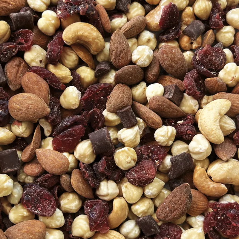 Mélange noix, chocolat et cranberries bio
